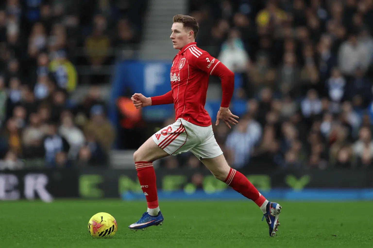 b体育官网登录-太阳报：若罗德里迟迟不续约，曼城考虑出售他并引进安德森